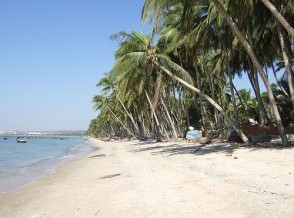 Vietnam Vietnam