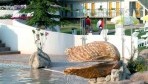HotelTrakia03-medence2.jpg