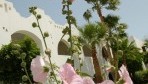 Domina Coral Bay 01-külsõ2