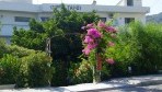 Tassos apartman 01-külsõ
