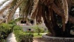 Palm Beach 01-külsõ3