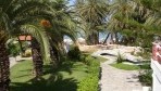 Palm Beach 07-kert