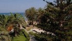 Palm Beach 07-kert3