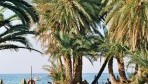 Palm Beach 08-part
