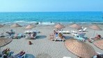 Hedef Rose Garden 08-part