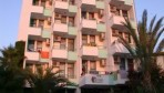 Palm Can 01-külsõ