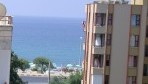 Palm Can 01-külsõ2