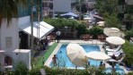 Palm Can 02-medence3
