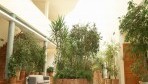 Aparthotel Fontanellas Playa 03-recepcio
