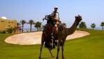 Marriott Taba 07-kert