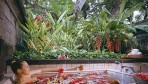 Bali Hyatt 07-spa4