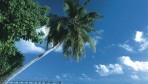 Sun Island 08-part3