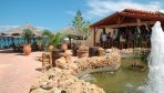 CactusBeach03-bár.jpg