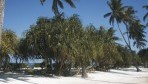 Sandies Pwani Beach Resort 07-part.jpg