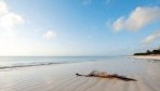 Neptune Village Beach Resort 05-part3