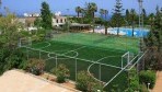 KingMinos09-foci.jpg