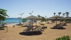 Sea Garden 07-part.jpg