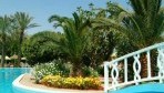 Riadh Palms 02-medence2.jpg