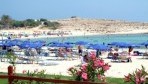 PavloNapa10-part.jpg