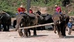 Thaiföld10