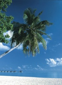 Maldív-szigetek-North Malé Atoll szállás