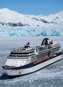 Celebrity Millennium