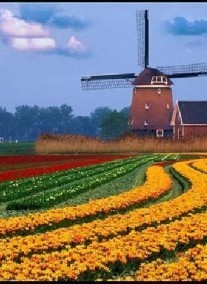2023.10.05-10.10. 6nap/5éj Őszi körutazás a Benelux államokban
