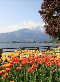 2023.08.18-08.25. 8nap/7éj Salzkammerguti tóvidéktől a Grossglocknerig II. 2023.08.18-08.25. 8nap/7éj Salzkammerguti tóvidéktől a Grossglocknerig II.