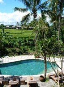 Alaya Ubud Hotel ****